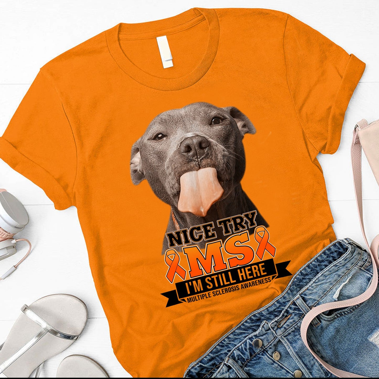 MULTIPLE SCLEROSIS AWARENESS 434