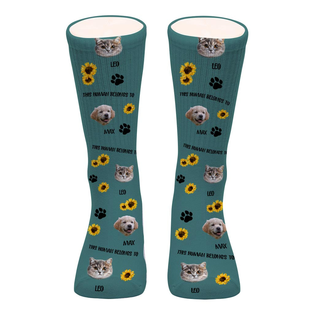 This Human Belongs To - Dog gift for cat lover - Personalized Socks
