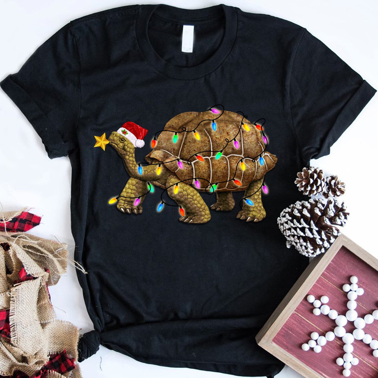 TURTLE 25