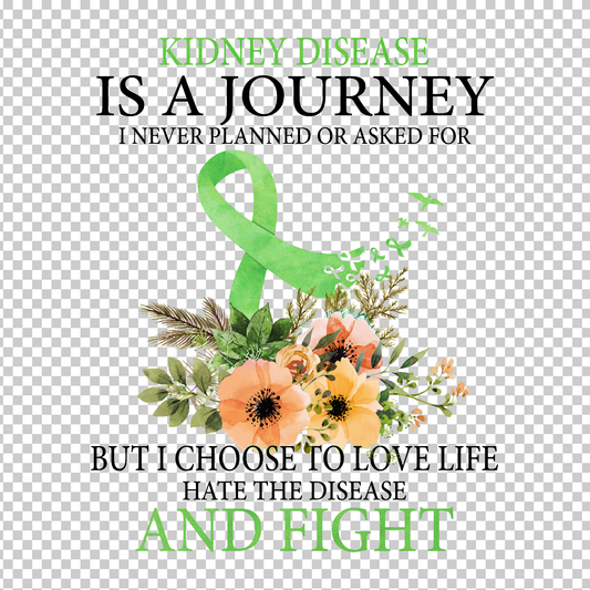 KIDNEY AWARENESS 4