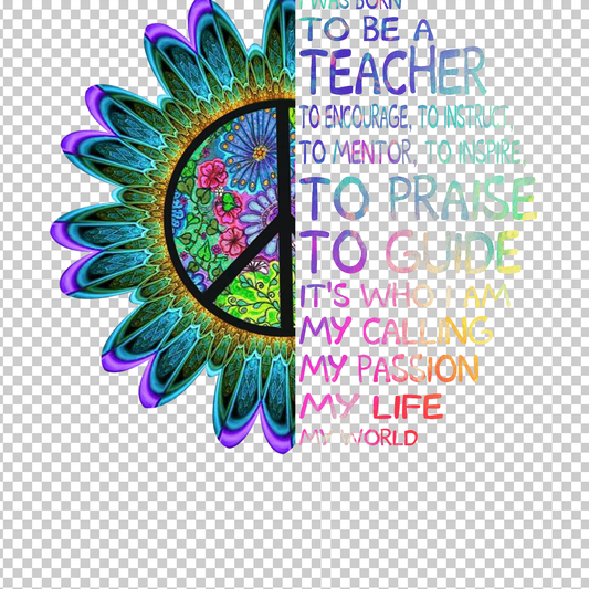 TEACHER 229