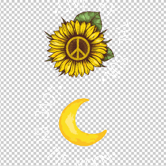 HIPPIE 263