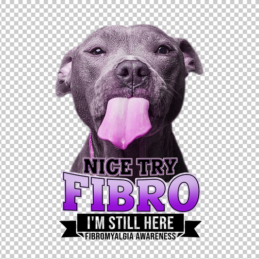 FIBROMYALGIA AWARENESS 282