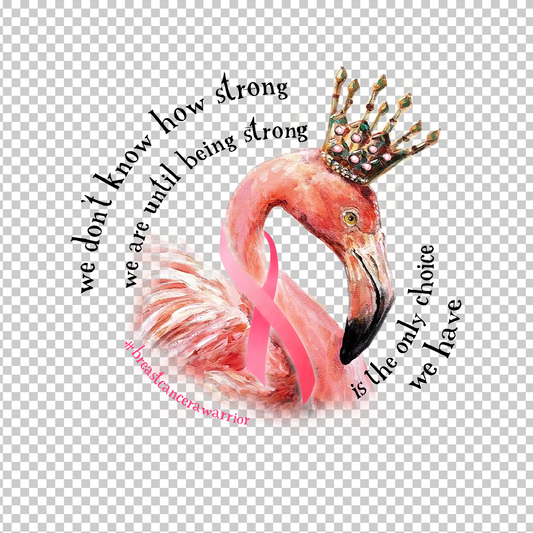 BREAST CANCER AWARENESS 352