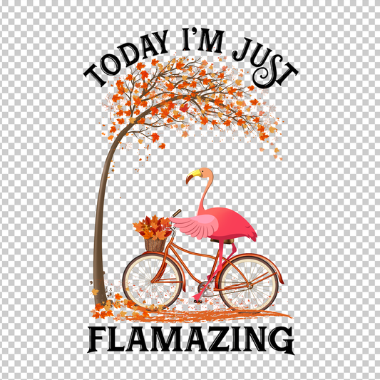 FLAMINGO 26