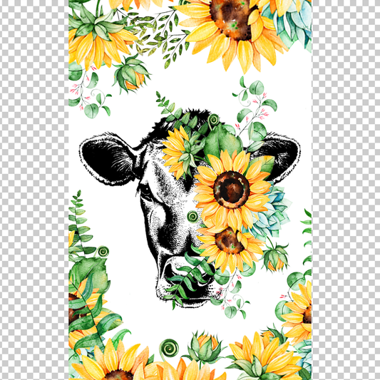 COW 136