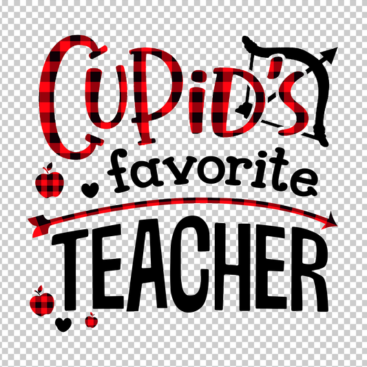 TEACHER 351