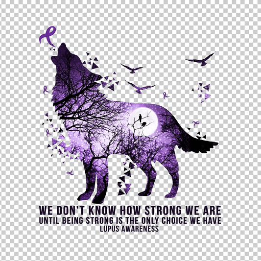 LUPUS AWARENESS 51