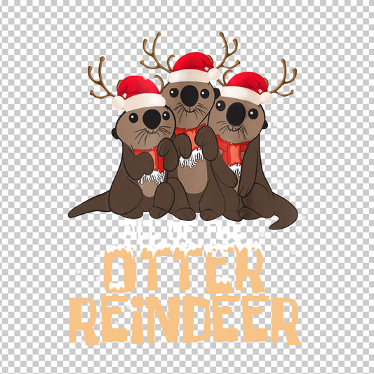 OTTER 14