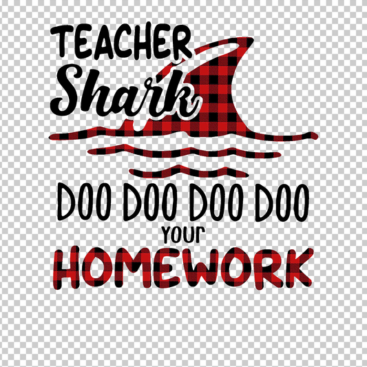 TEACHER 158
