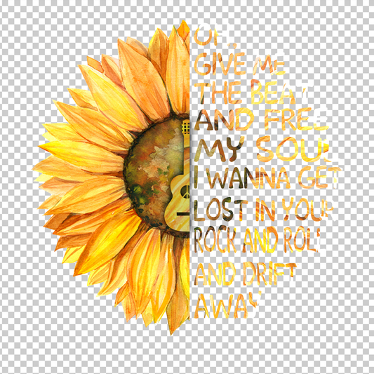 HIPPIE 202