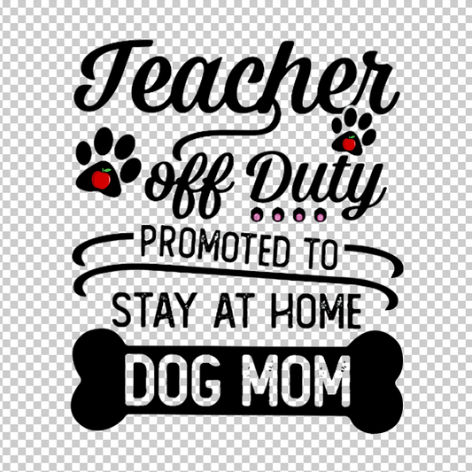 TEACHER 311