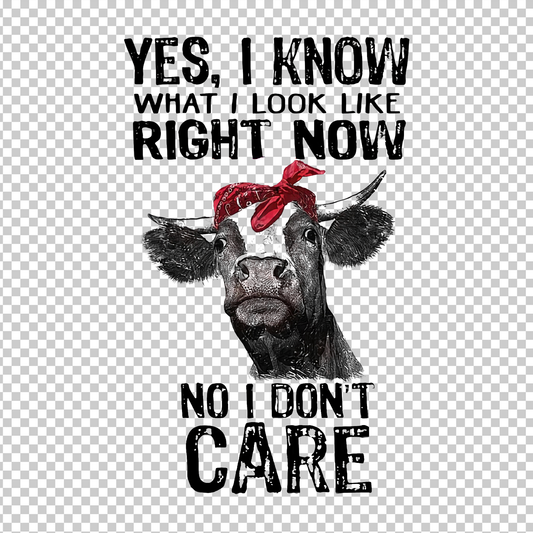 COW 77