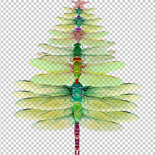DRAGONFLY 12