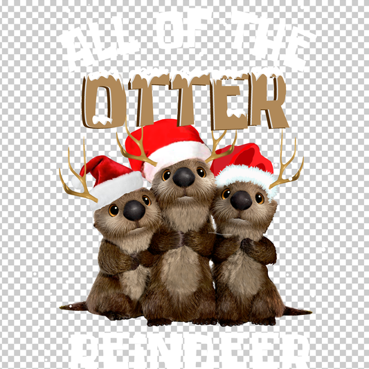 OTTER 13