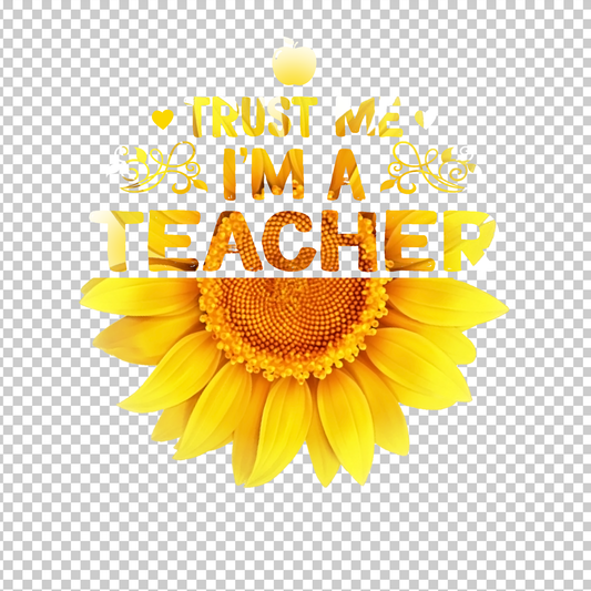 TEACHER 98