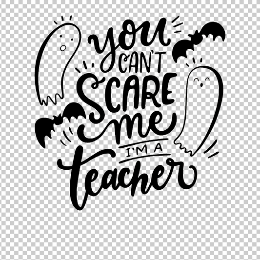 TEACHER 368