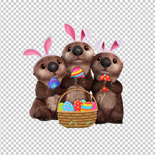 OTTER 3