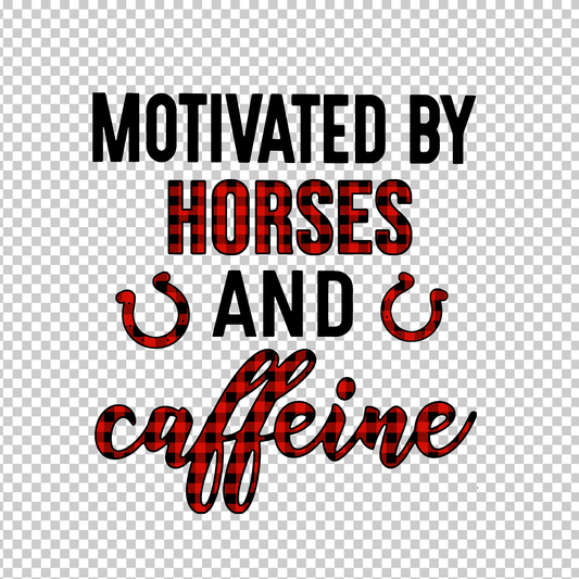 HORSE 16
