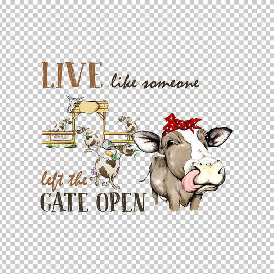 COW 16