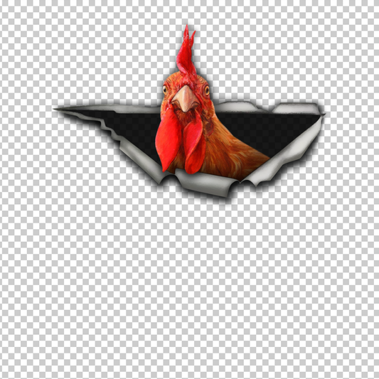 CHICKEN 37