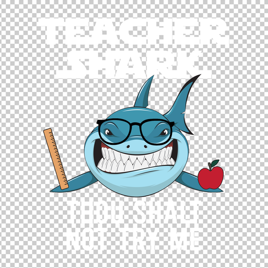 TEACHER 21