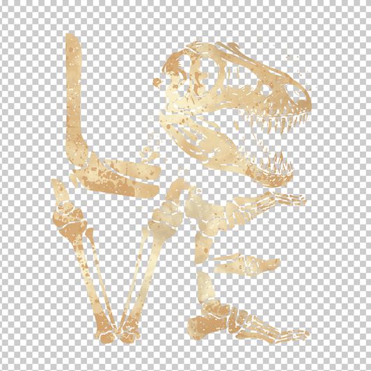 DINOSAUR 5
