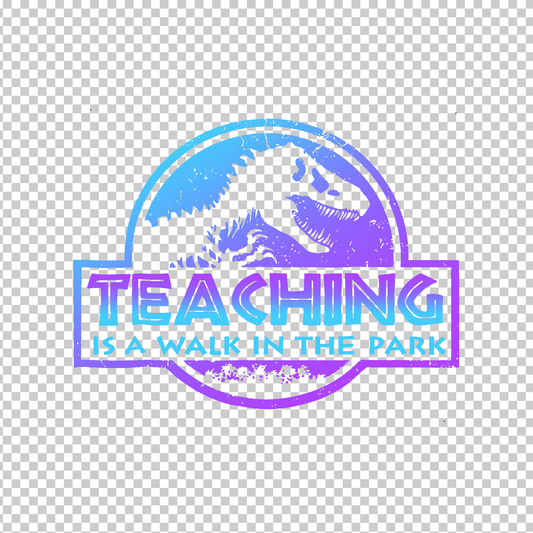 TEACHER 28