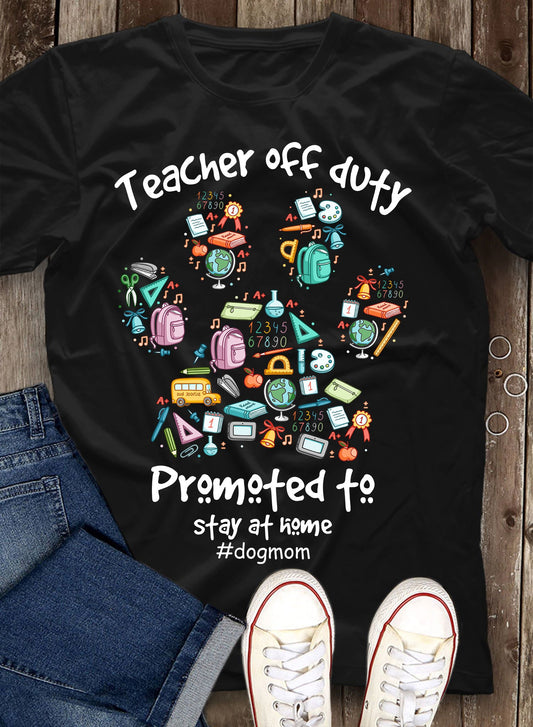 TEACHER 312