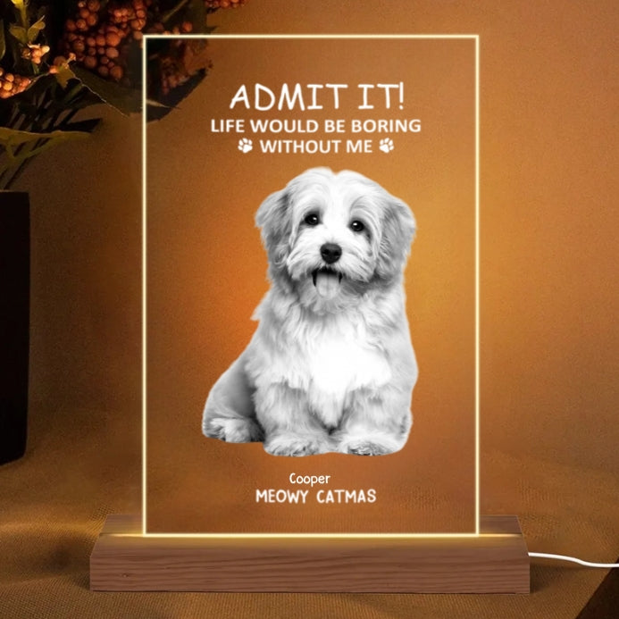Personalized Christmas Glass Cup - Funny Pet - Themed Gift Cup