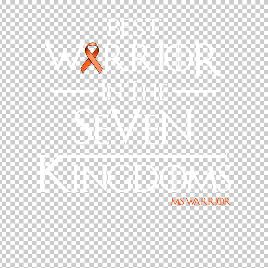 MULTIPLE SCLEROSIS AWARENESS 366