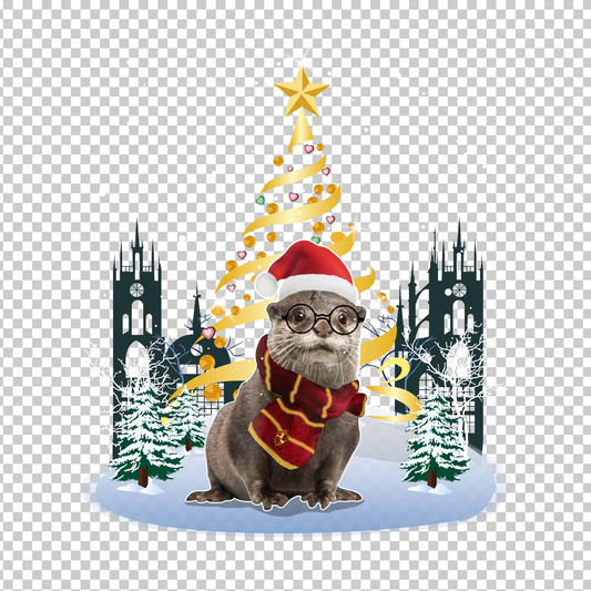 OTTER 6