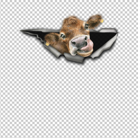 COW 30