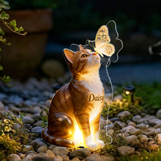 Cat And Butterfly - Personalized Cat Solar Acrylic Light