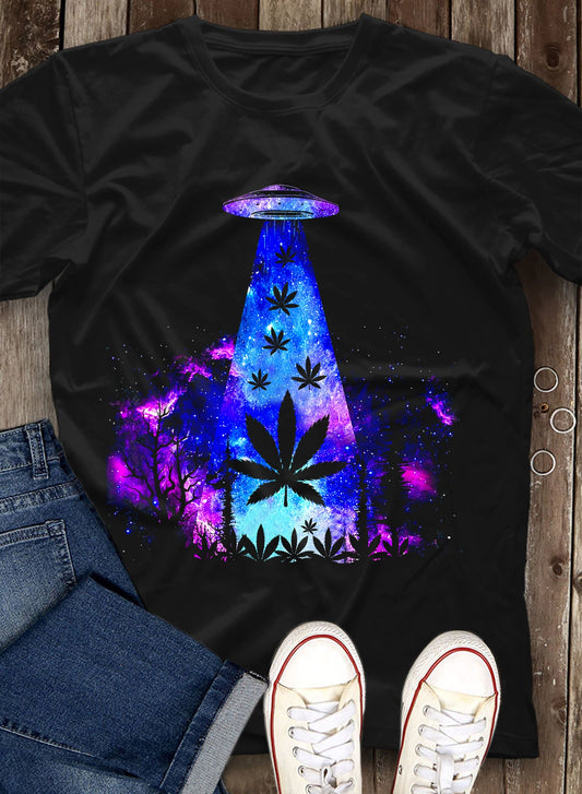 WEED 31