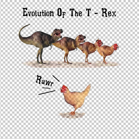 CHICKEN 65