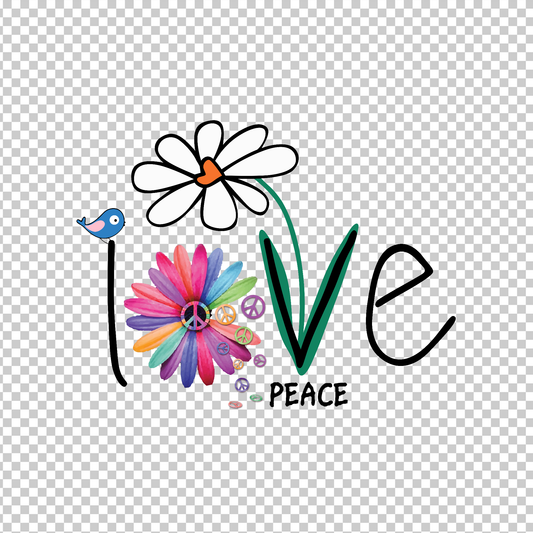 HIPPIE 34