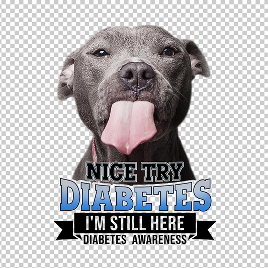 DIABETES AWARENESS 41