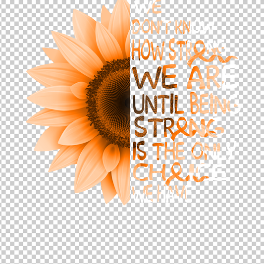 MULTIPLE SCLEROSIS AWARENESS 132