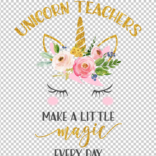 TEACHER 206