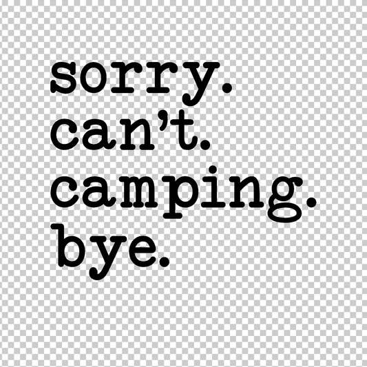 CAMPING 439