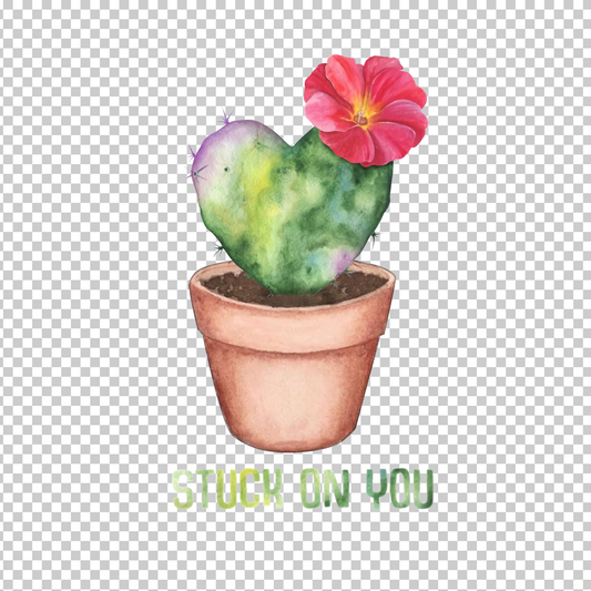 CACTUS 2