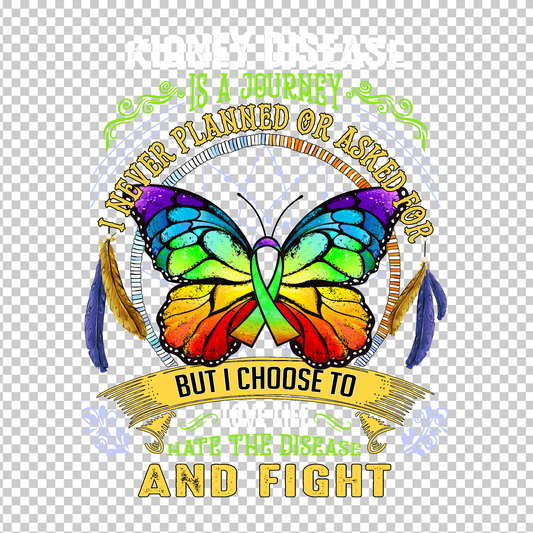 KIDNEY AWARENESS 1