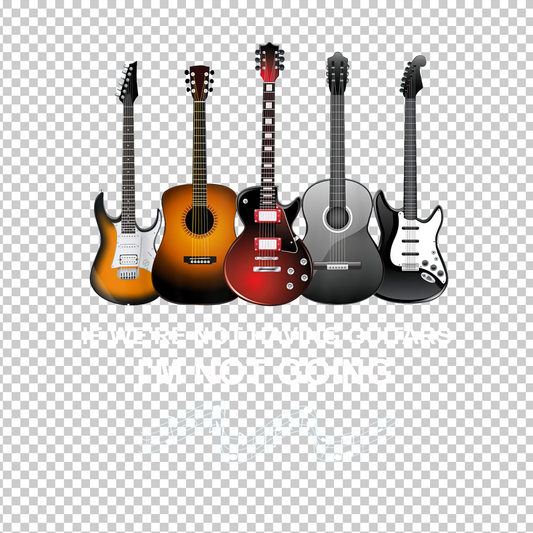 GUITAR 14