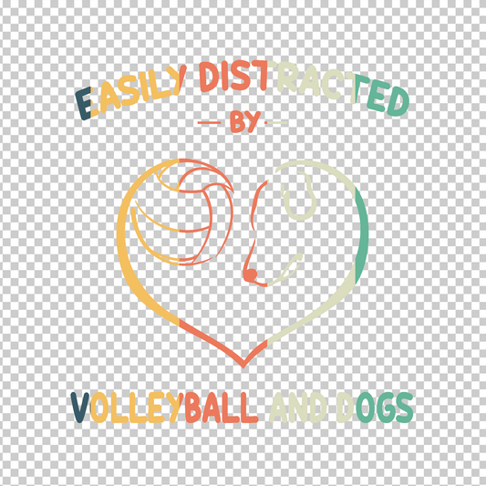 VOLLEYBALL 1