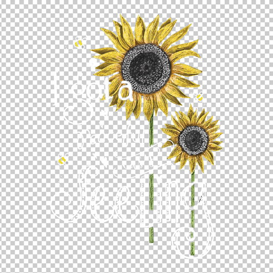 HIPPIE 455