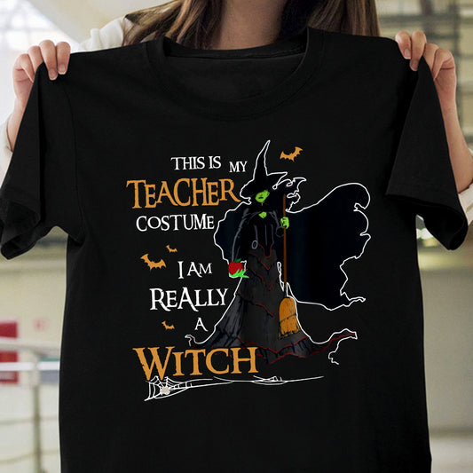 TEACHER 571