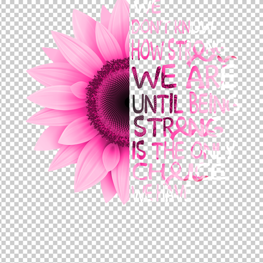 BREAST CANCER AWARENESS 165