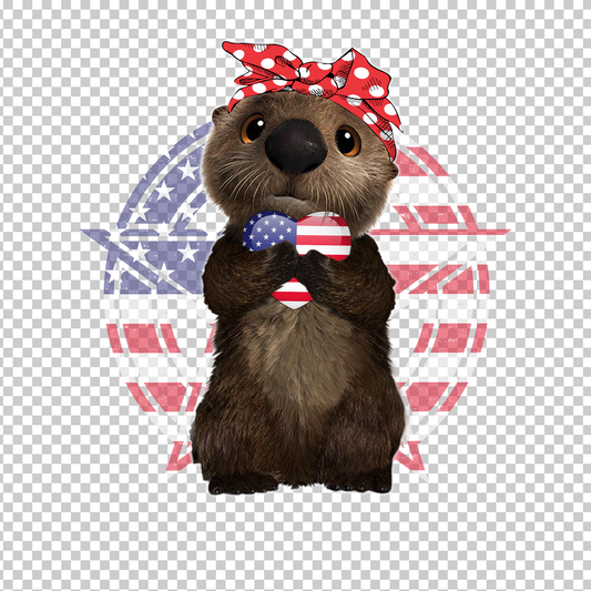 OTTER 11