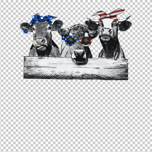 COW 6